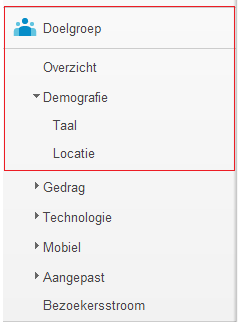 Google Analytics Demografierapport